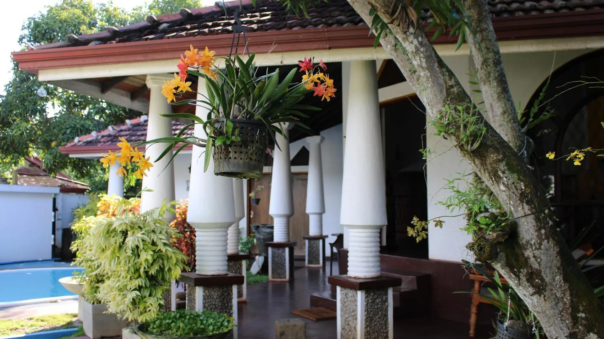 Olideb Gedara Hotel Negombo 0*,  Sri Lanka