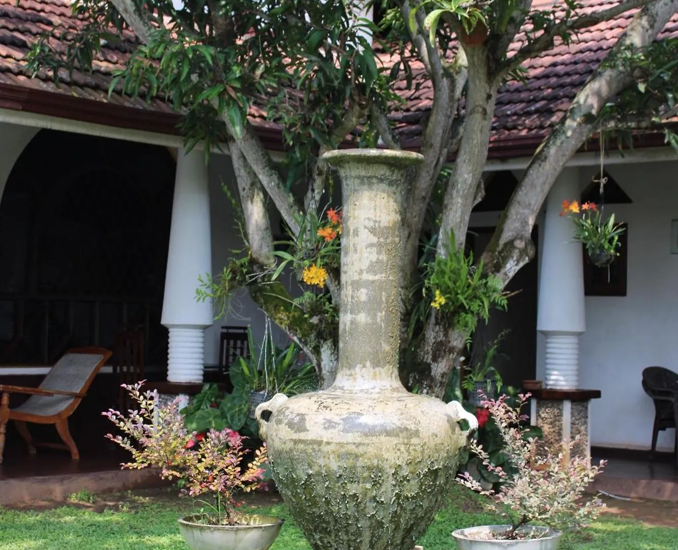 Guest house Olideb Gedara Hotel Negombo